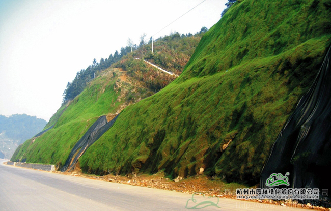 电竞比赛押注app