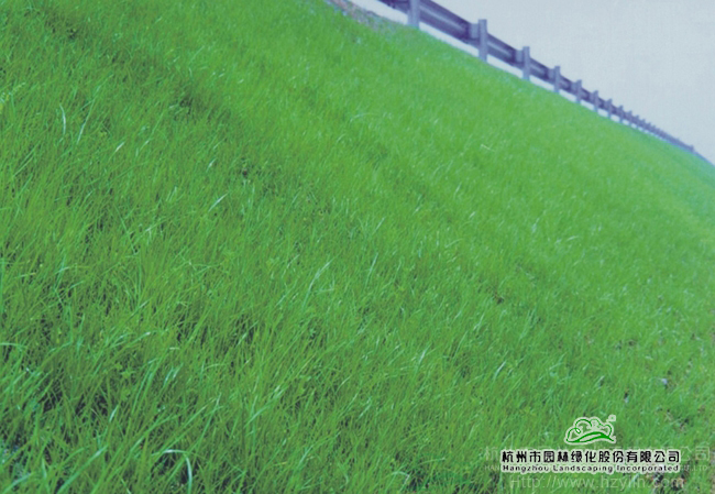 电竞比赛押注app