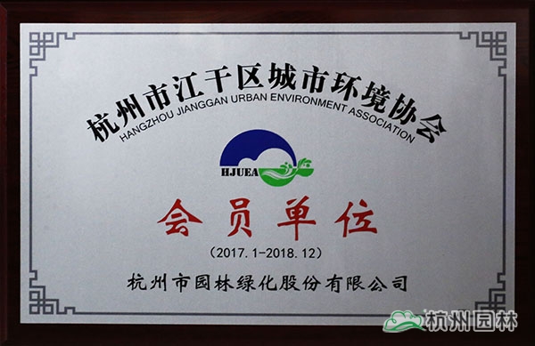 电竞比赛押注app