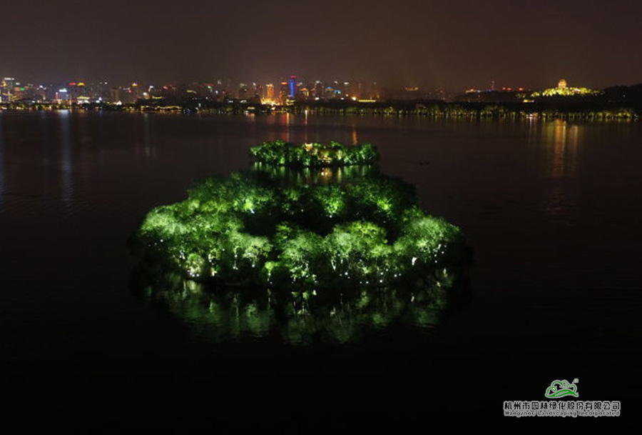 电竞比赛押注app