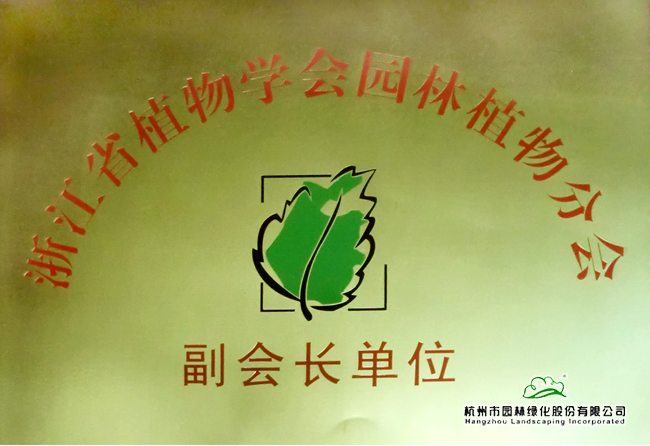 电竞比赛押注app