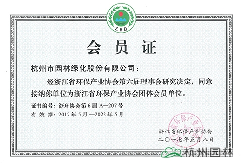 电竞比赛押注app