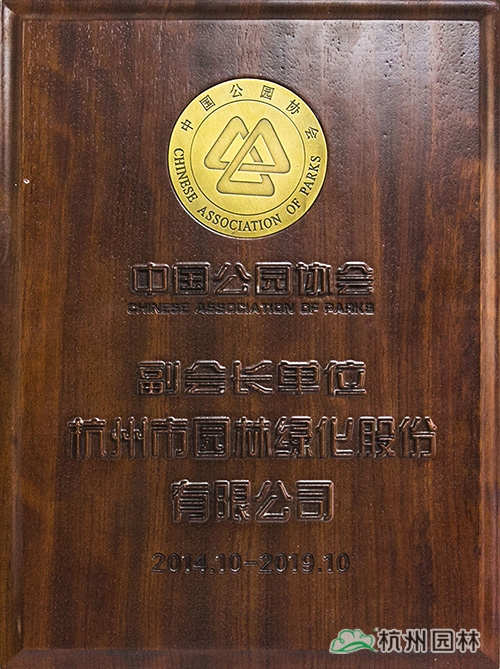 电竞比赛押注app