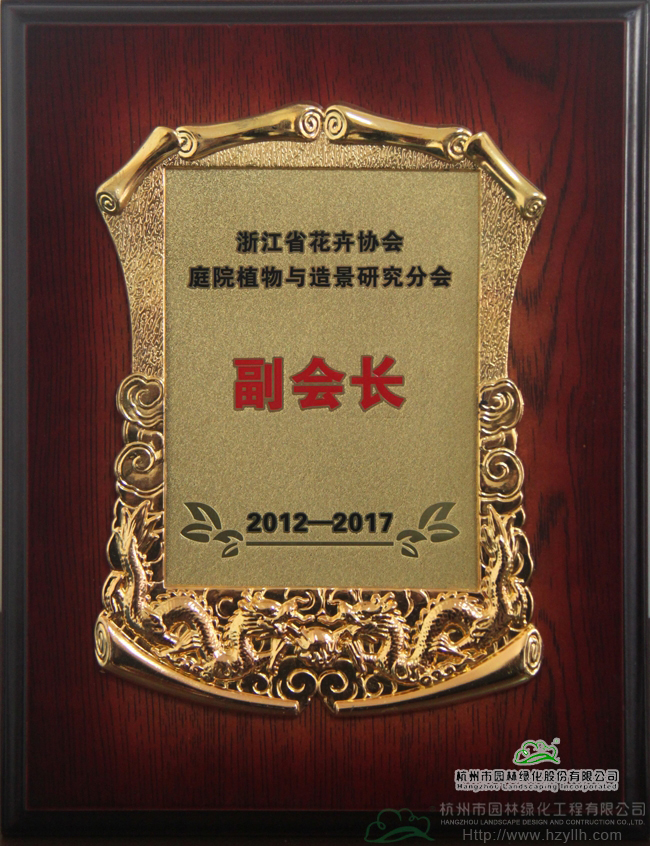 电竞比赛押注app