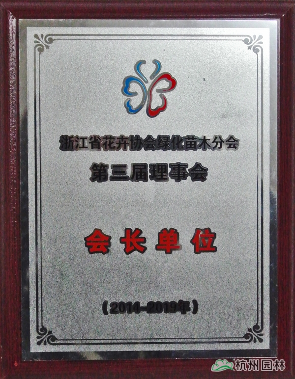 电竞比赛押注app