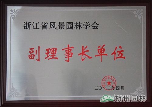 电竞比赛押注app