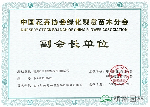 电竞比赛押注app