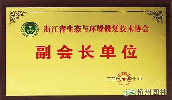 电竞比赛押注app