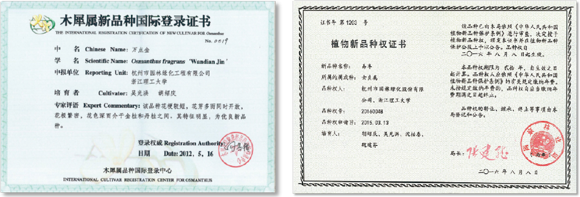 电竞比赛押注app