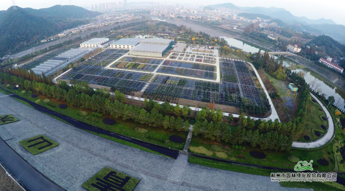 电竞比赛押注app