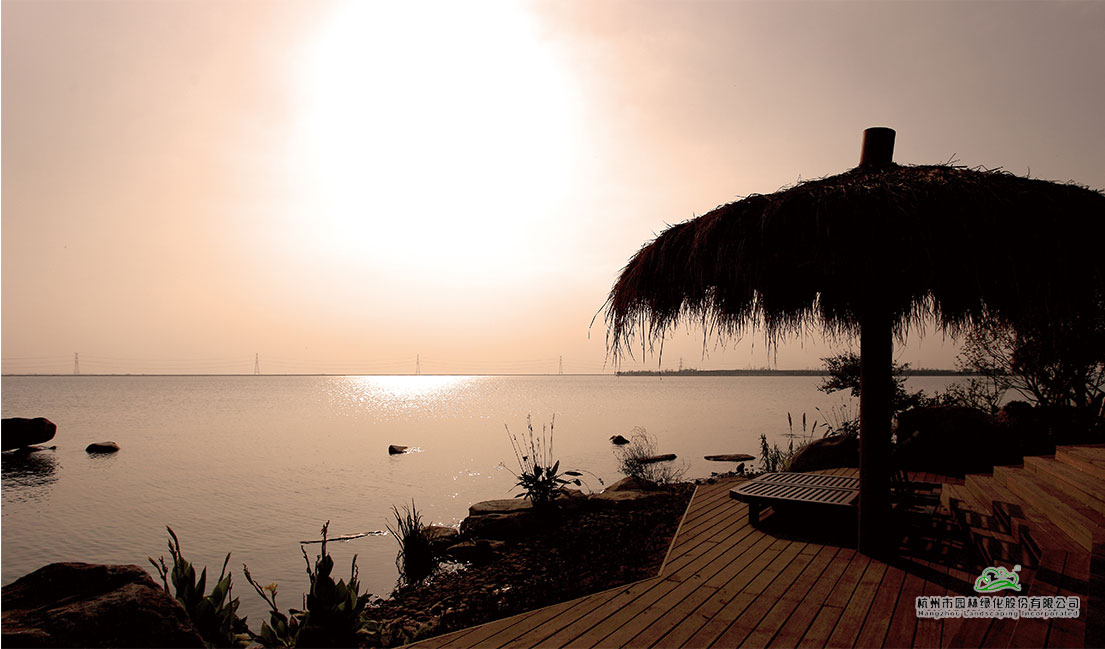 电竞比赛押注app