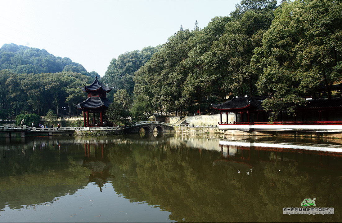 电竞比赛押注app