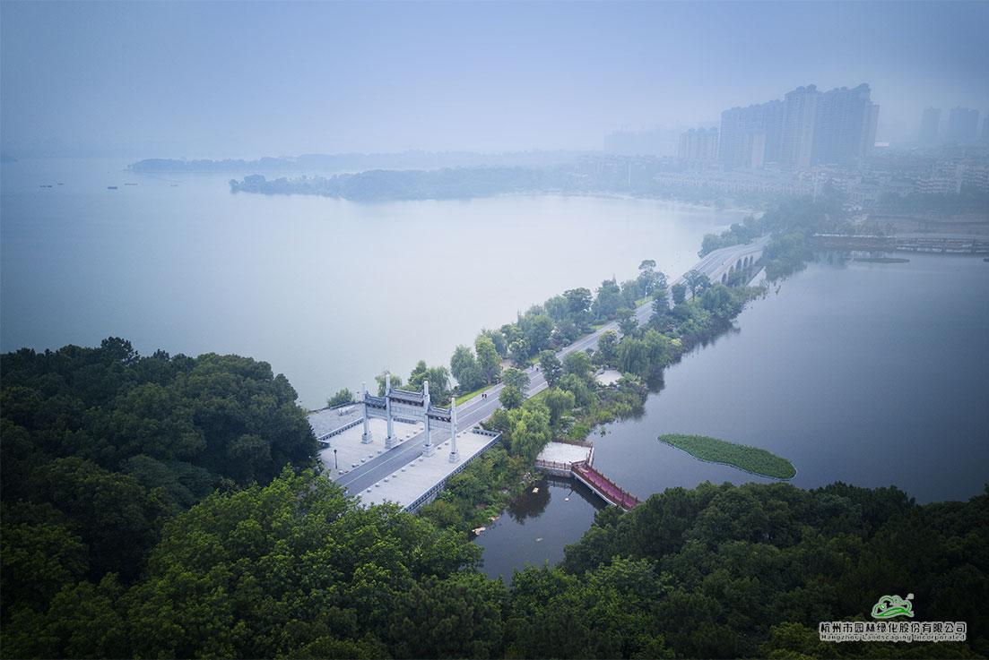 电竞比赛押注app