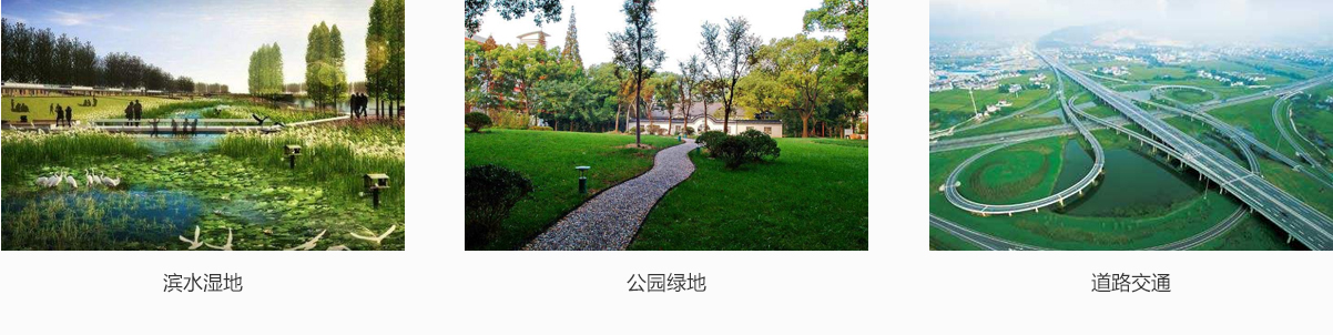 电竞比赛押注app