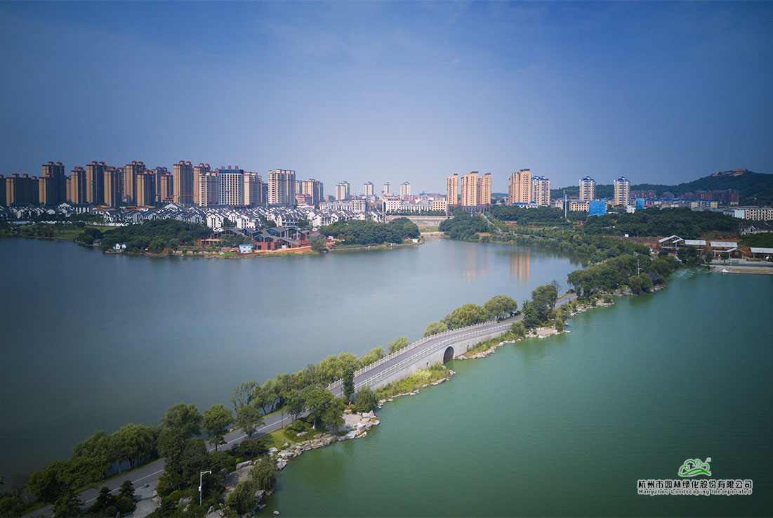 电竞比赛押注app