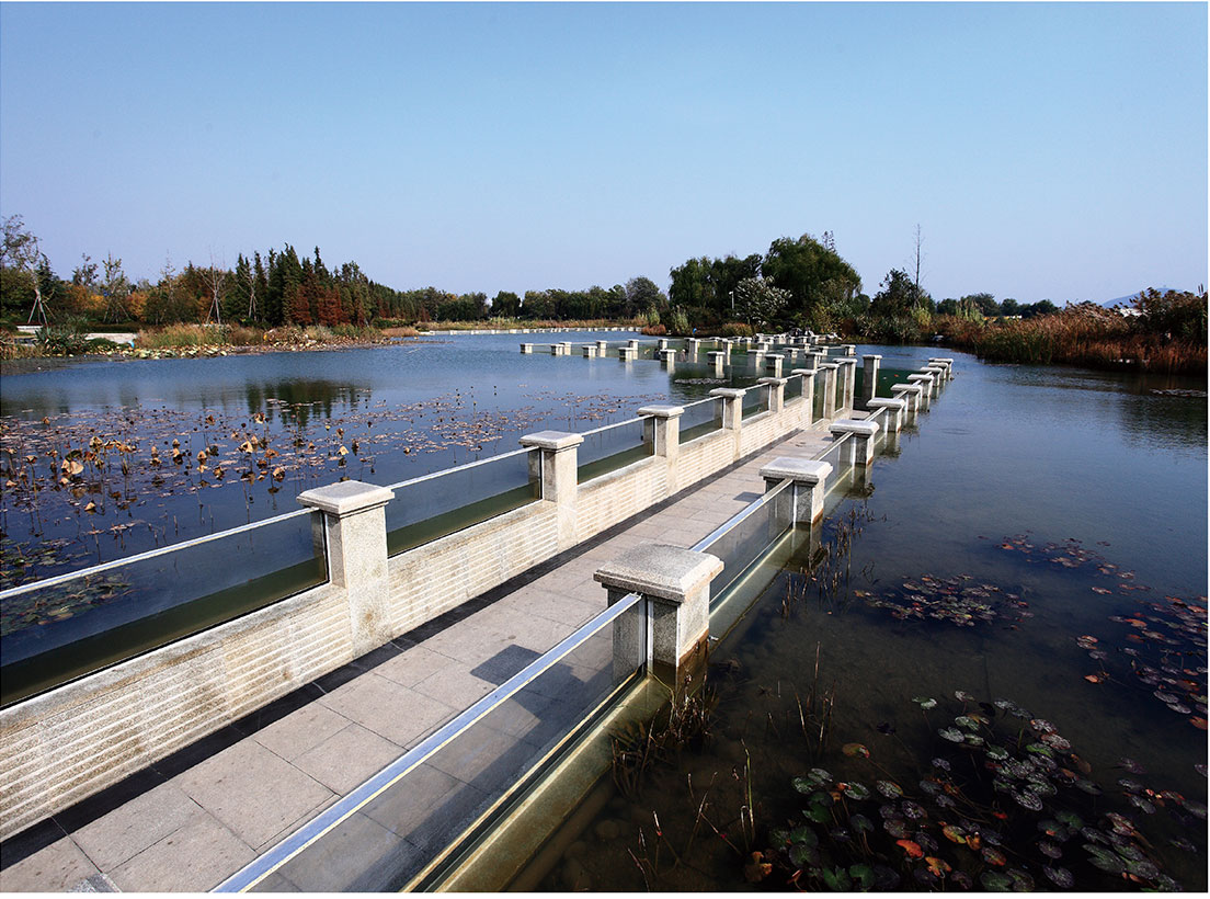 电竞比赛押注app