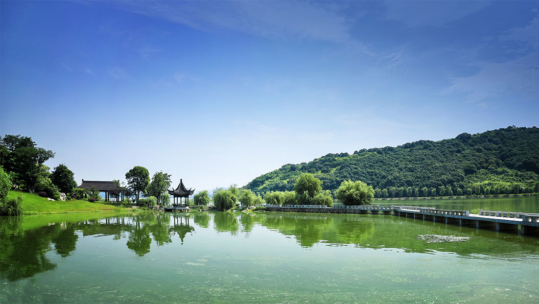 电竞比赛押注app