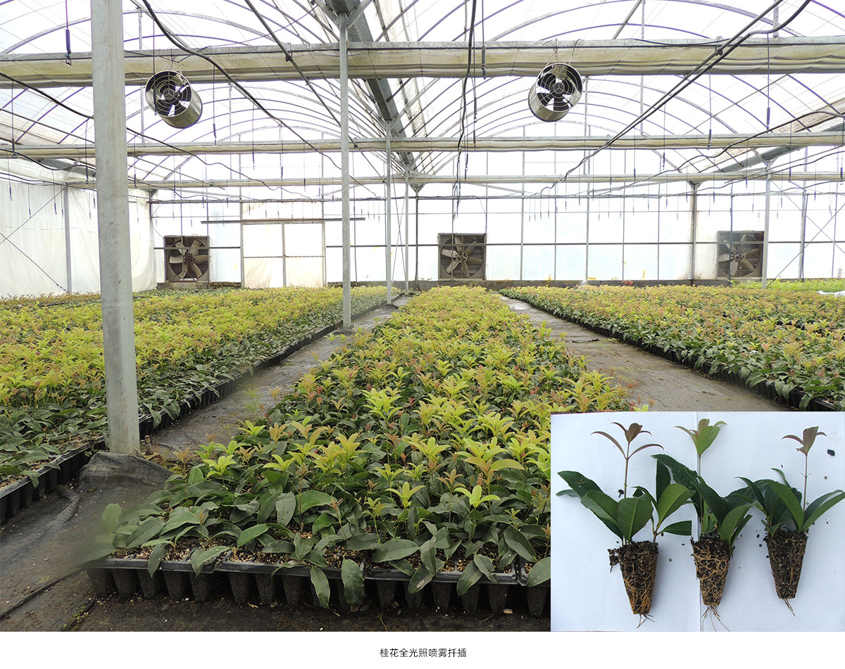 电竞比赛押注app