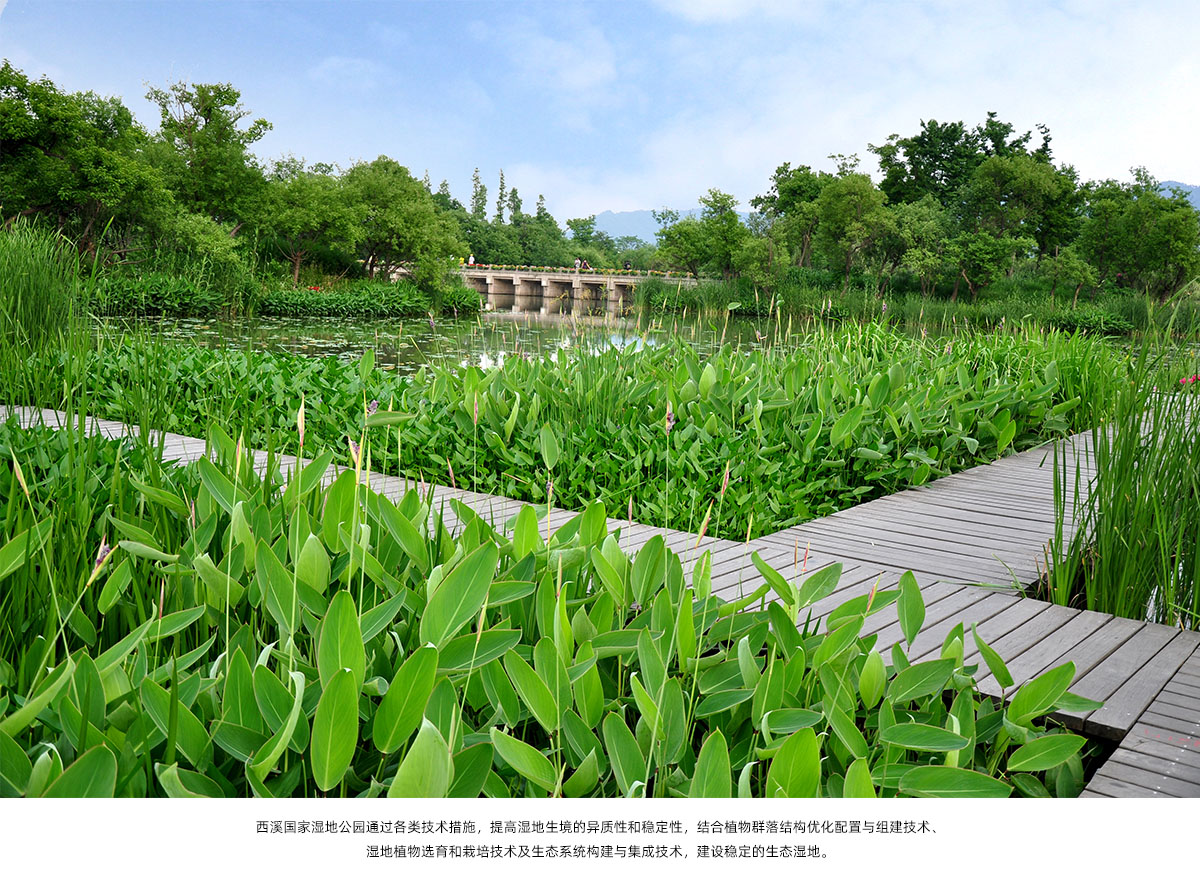 电竞比赛押注app