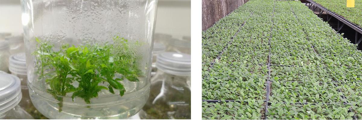 电竞比赛押注app