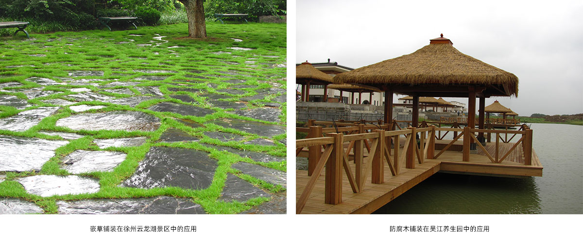 电竞比赛押注app