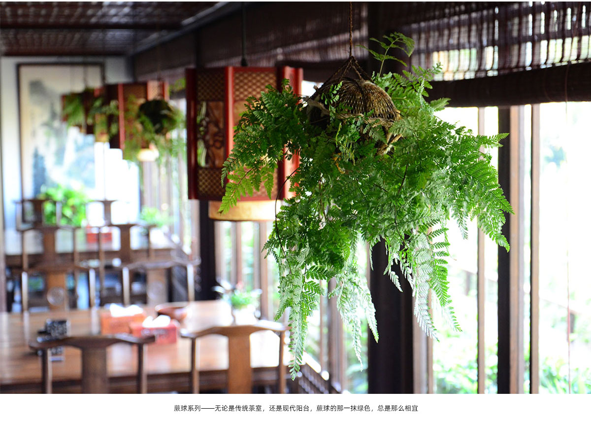 电竞比赛押注app