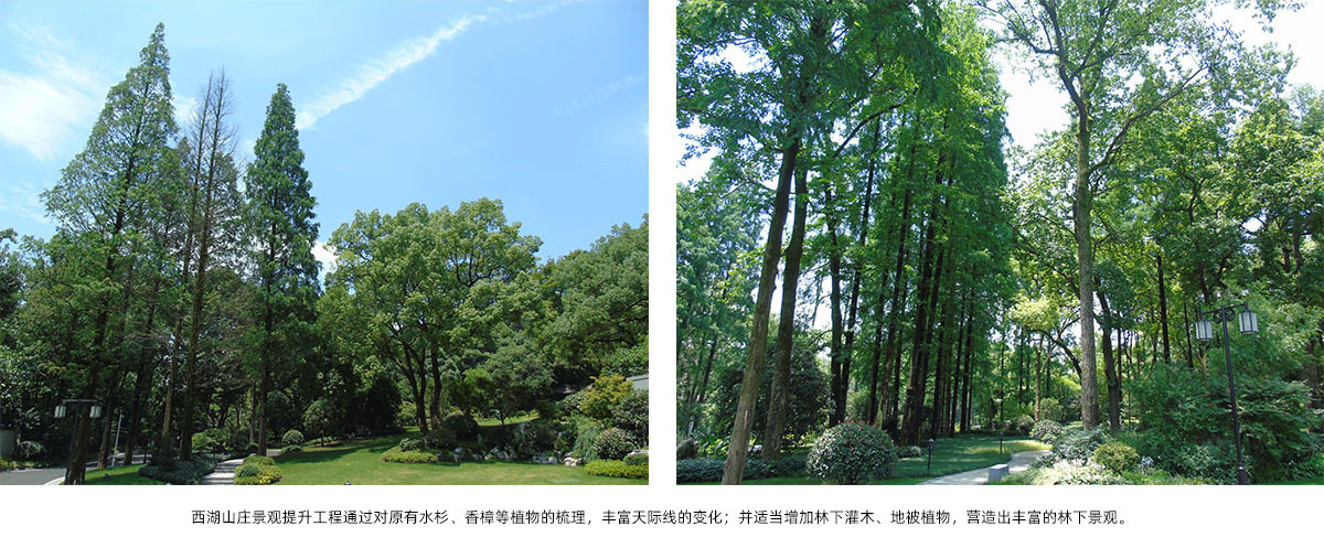 电竞比赛押注app