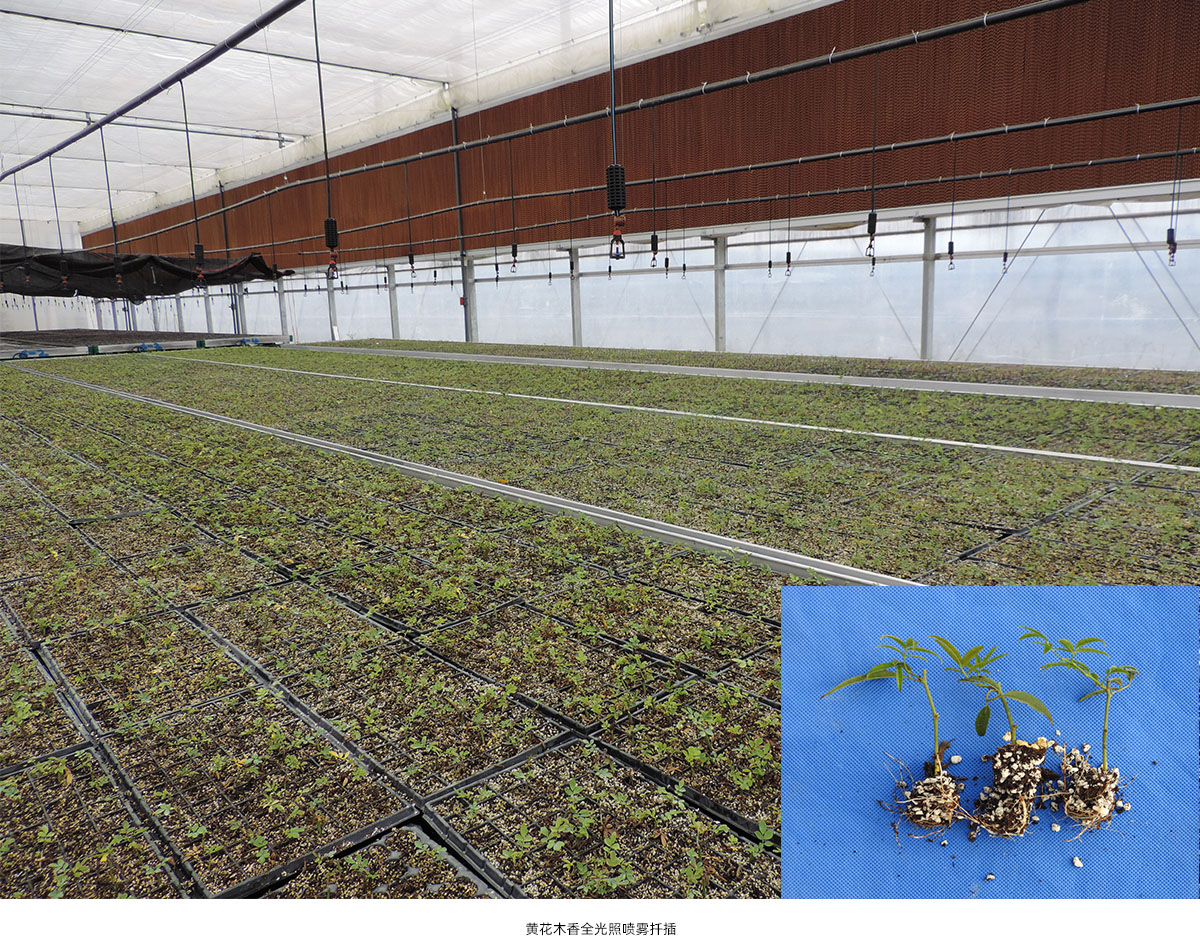 电竞比赛押注app