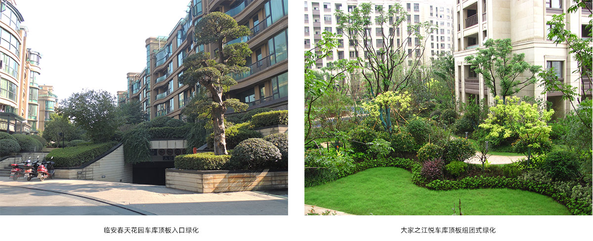 电竞比赛押注app