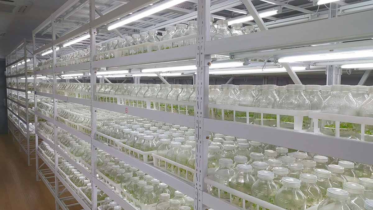 电竞比赛押注app