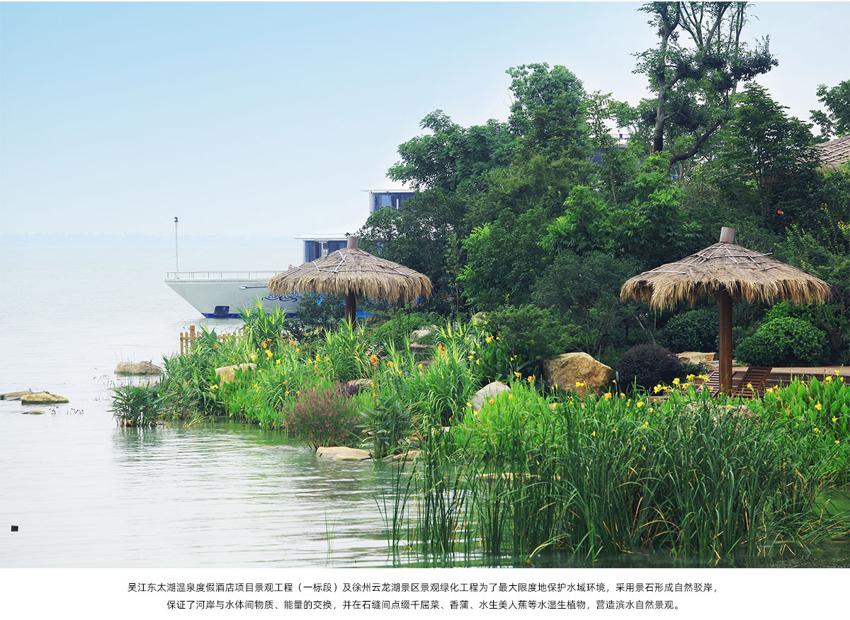 电竞比赛押注app