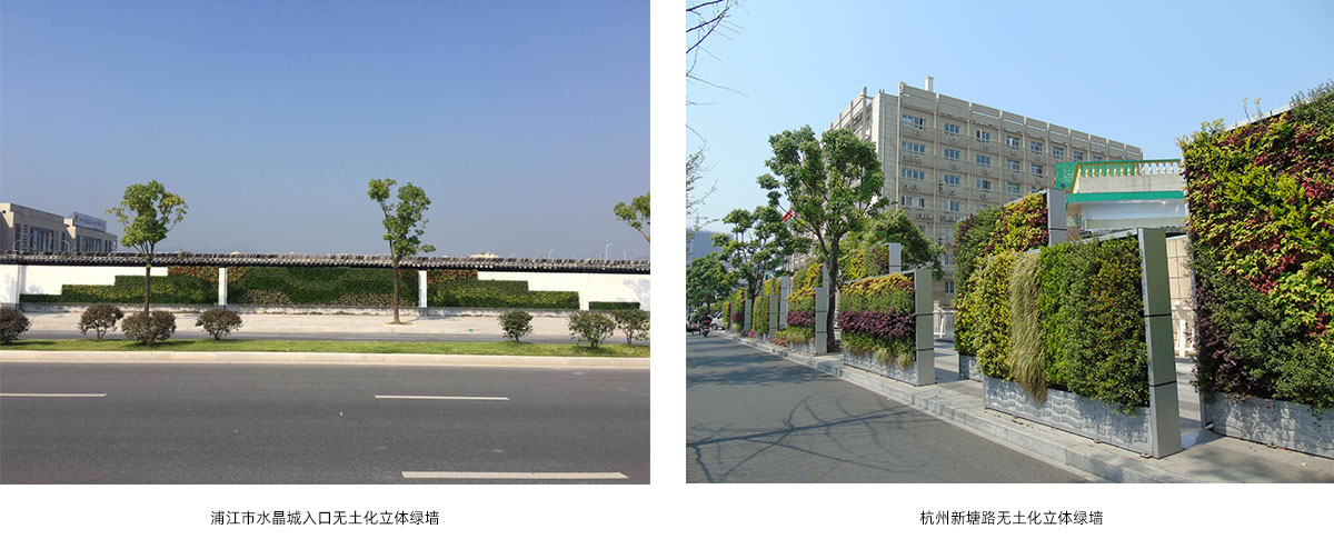 电竞比赛押注app