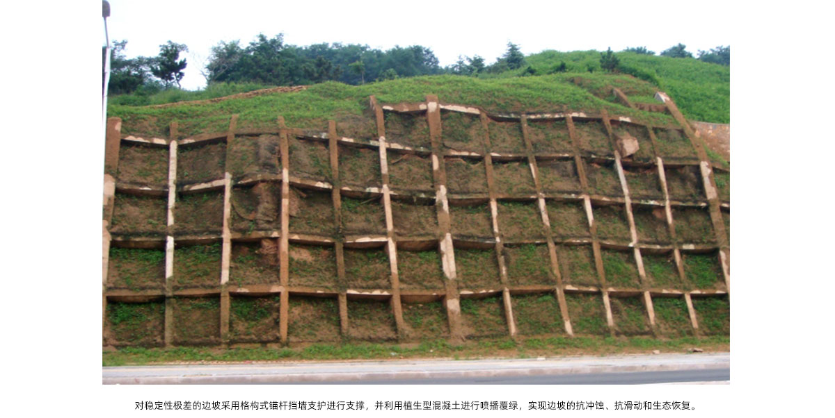 电竞比赛押注app