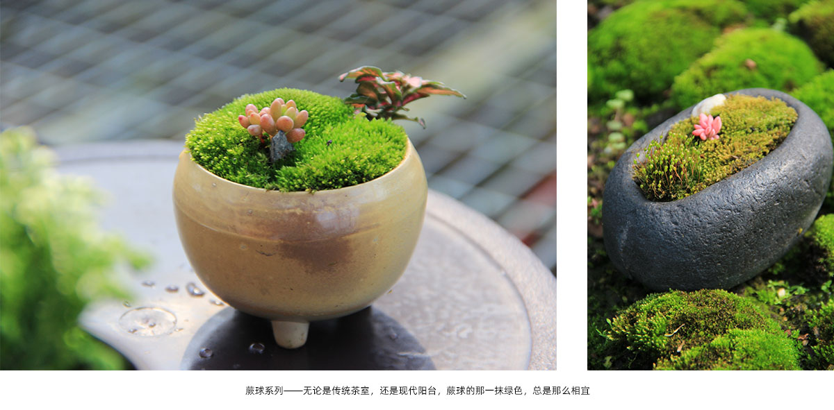 电竞比赛押注app