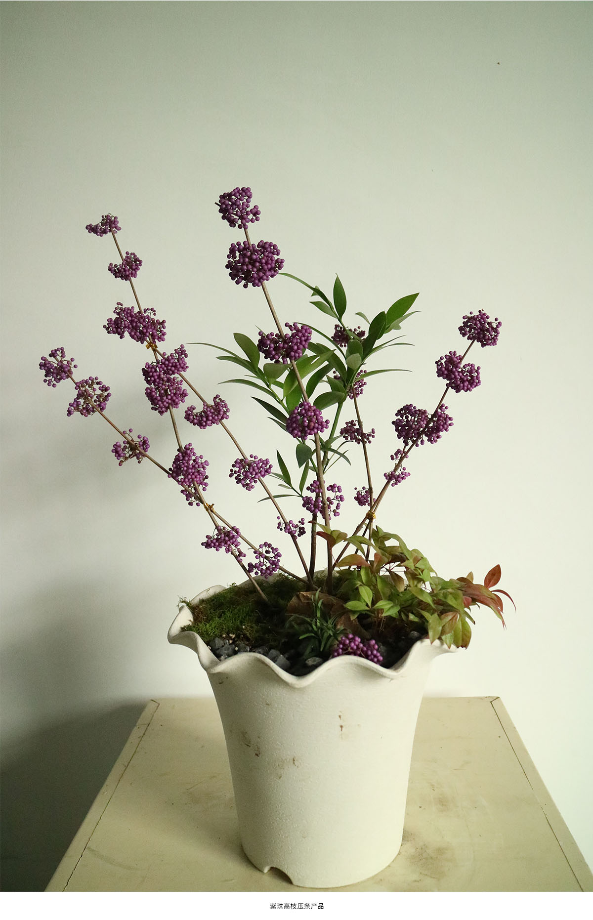 电竞比赛押注app