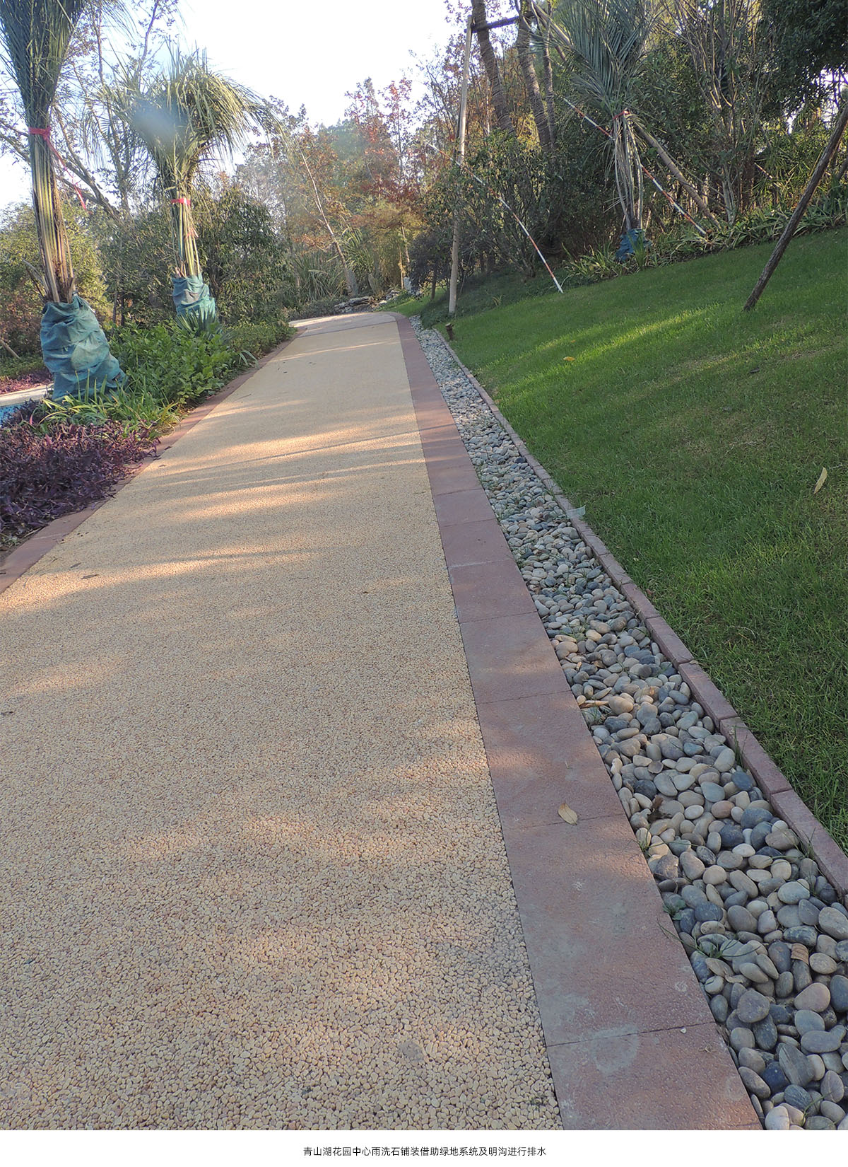 电竞比赛押注app