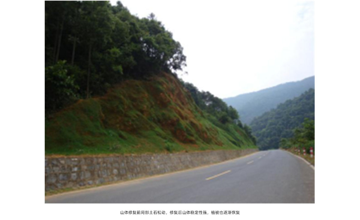 电竞比赛押注app