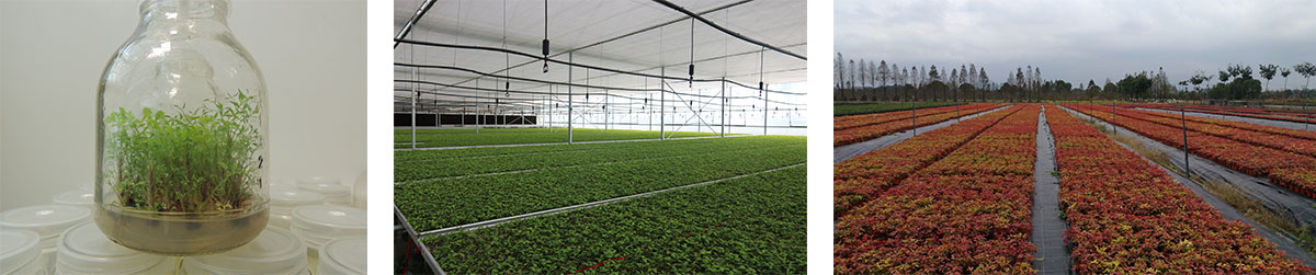 电竞比赛押注app