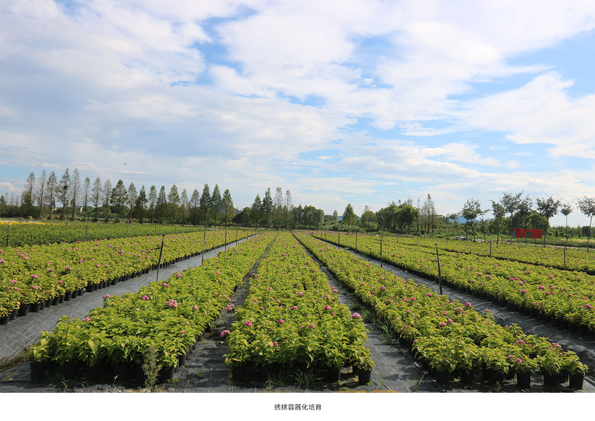 电竞比赛押注app