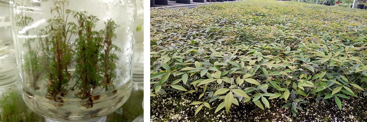 电竞比赛押注app