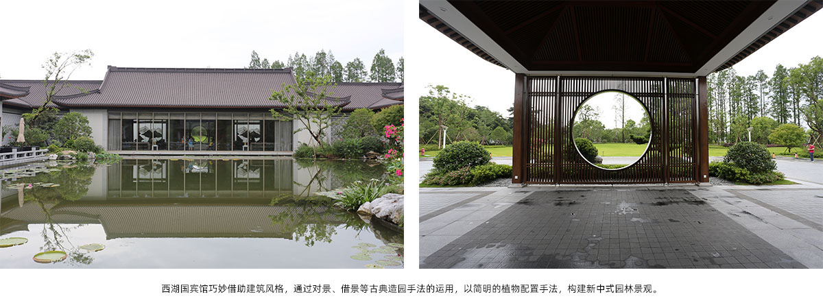 电竞比赛押注app