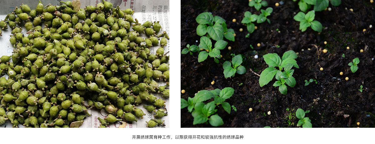 电竞比赛押注app