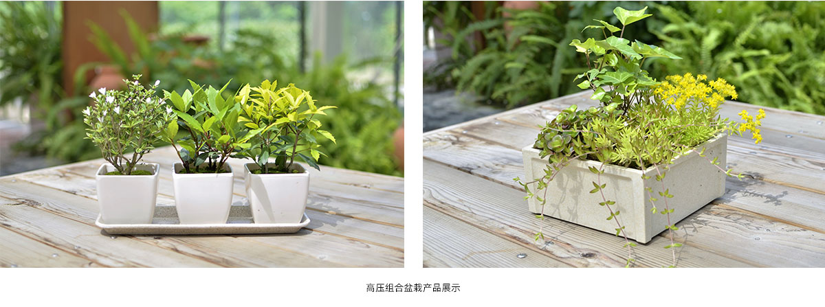 电竞比赛押注app