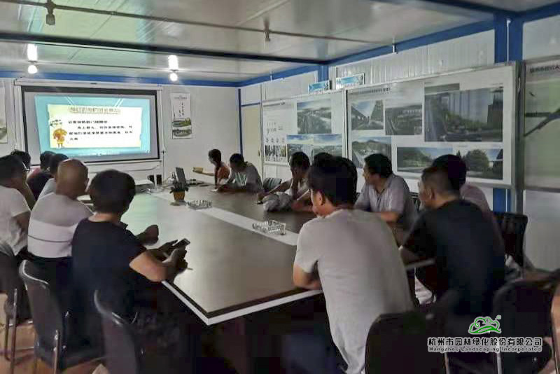 电竞比赛押注app