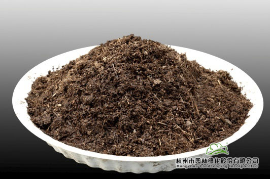 电竞比赛押注app