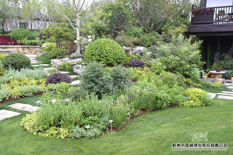 电竞比赛押注app