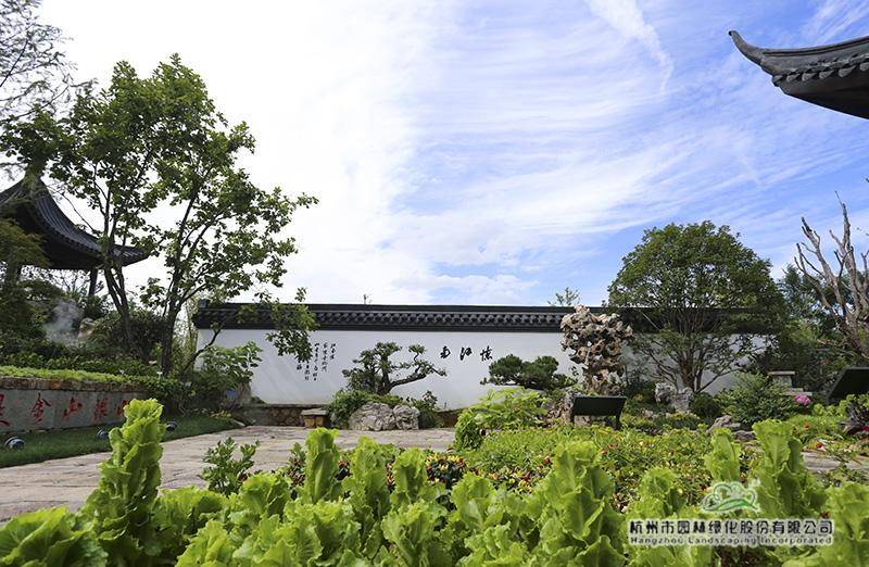 电竞比赛押注app