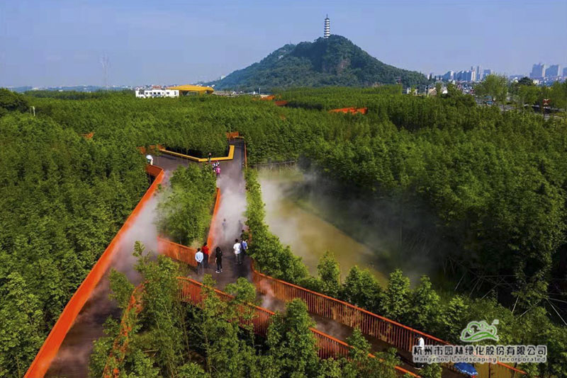 电竞比赛押注app