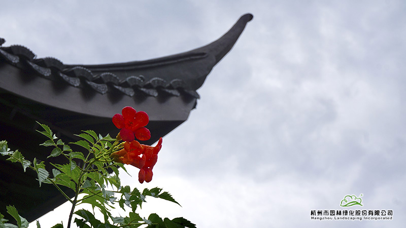 电竞比赛押注app