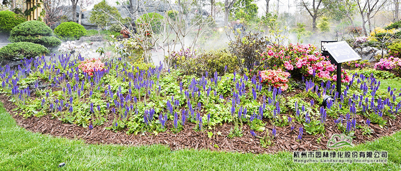 电竞比赛押注app